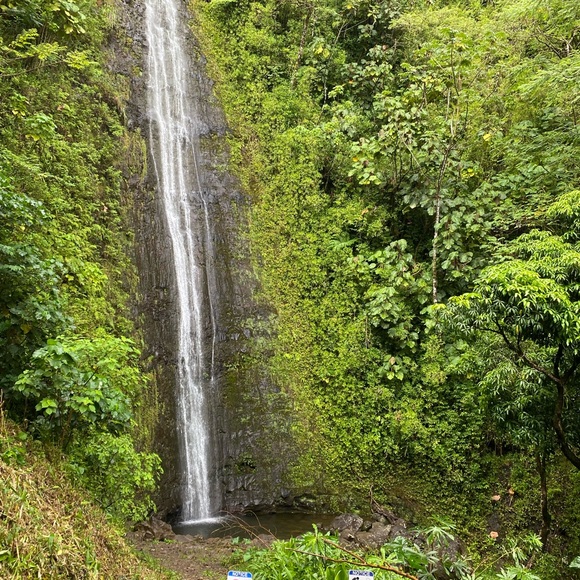 Meet your Posher, Chloe - Picture 1 of 1